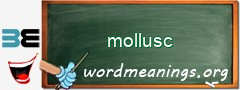 WordMeaning blackboard for mollusc